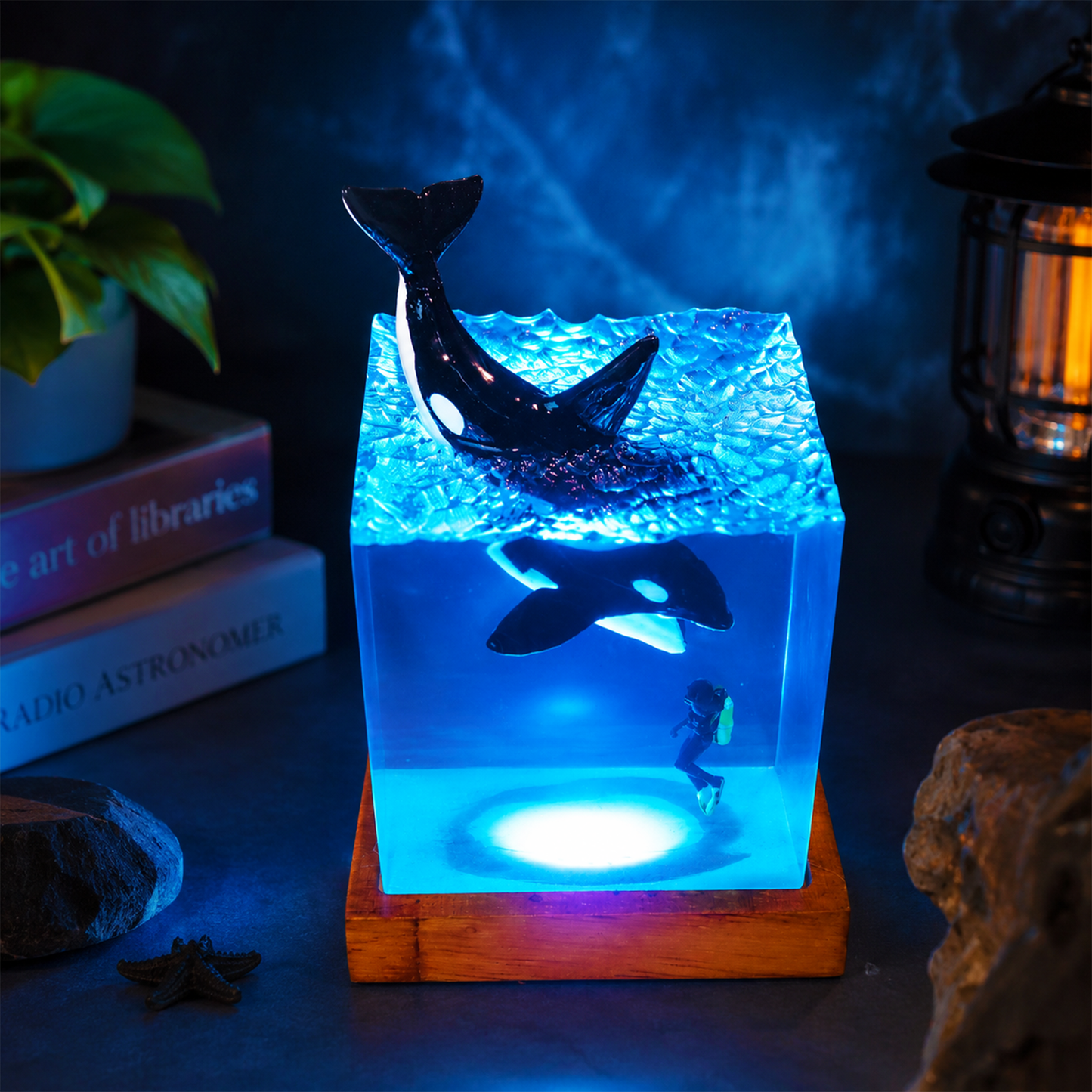 Orca Ocean Dive Resin Lamp