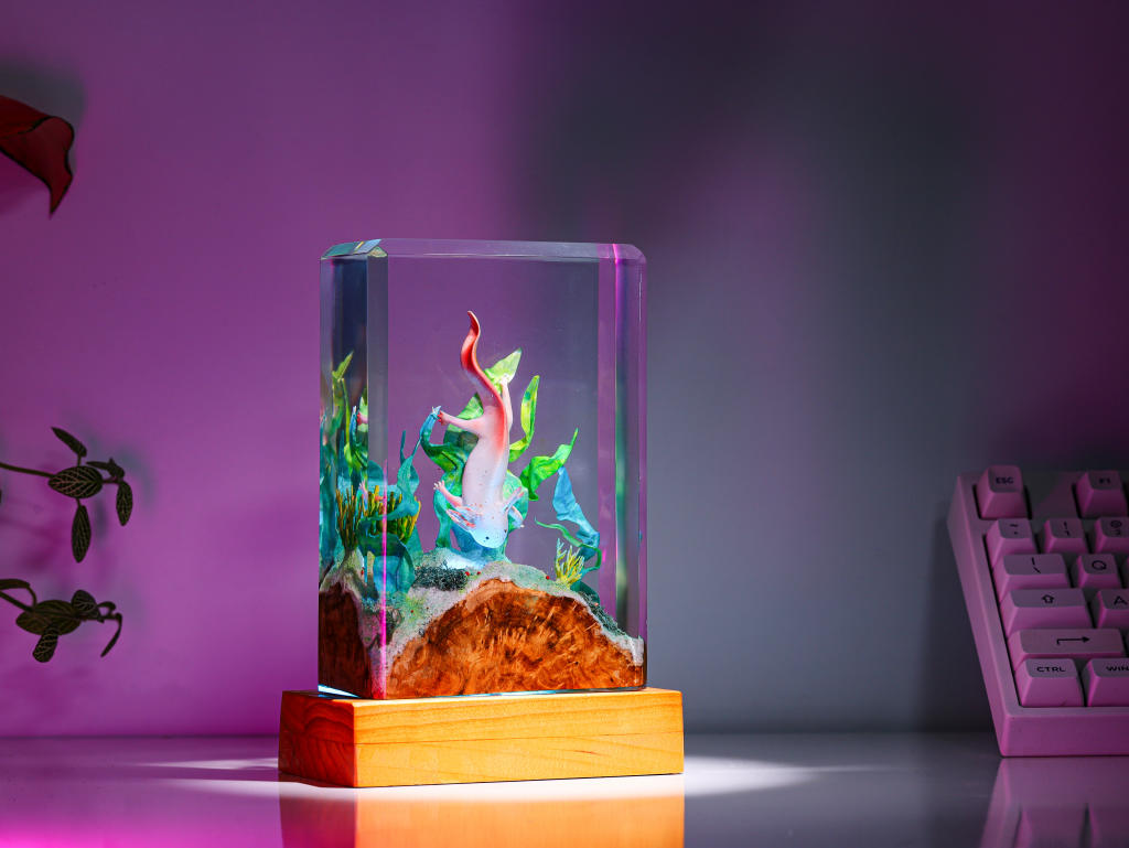Axolotl Resin Lamp Square, Ocean Lamp – ArtLitCraft Store