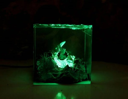 Axolotl Resin Lamp Square, Ocean Lamp – ArtLitCraft Store